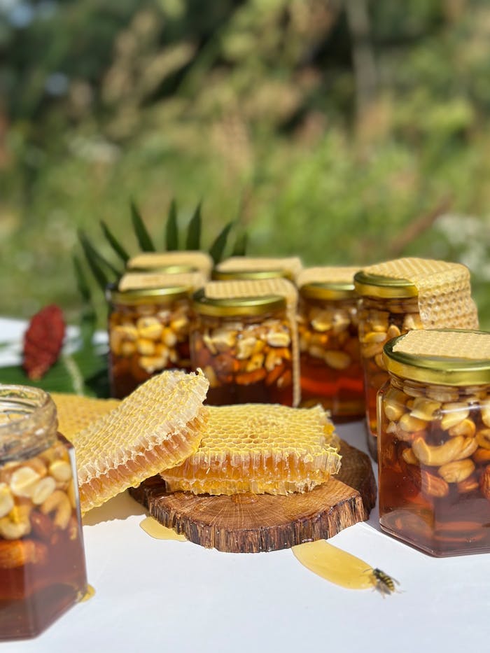 Artisanal honey jars with honeycomb displayed in a lush outdoor setting, capturing natural beauty.